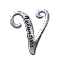 Script "V" Silver Pin